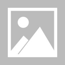 九游体育app-原上海海港球员莱奥奇塔迪尼最新消息